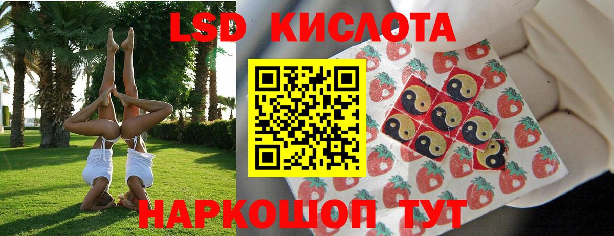 Наркотические марки 1,8мг  Вход с VPN  Наркотические марки  Наркотические марки 1,8мг  Дальнереченск 