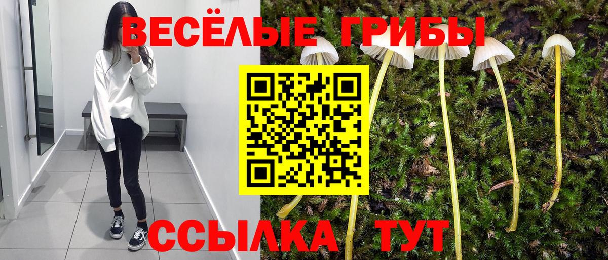 Псилоцибиновые грибы GOLDEN TEACHER Дальнереченск