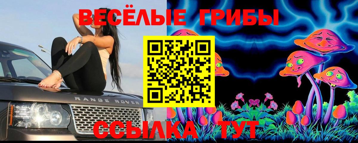 Дальнереченск  Галлюциногенные грибы Cubensis  Вход с VPN 